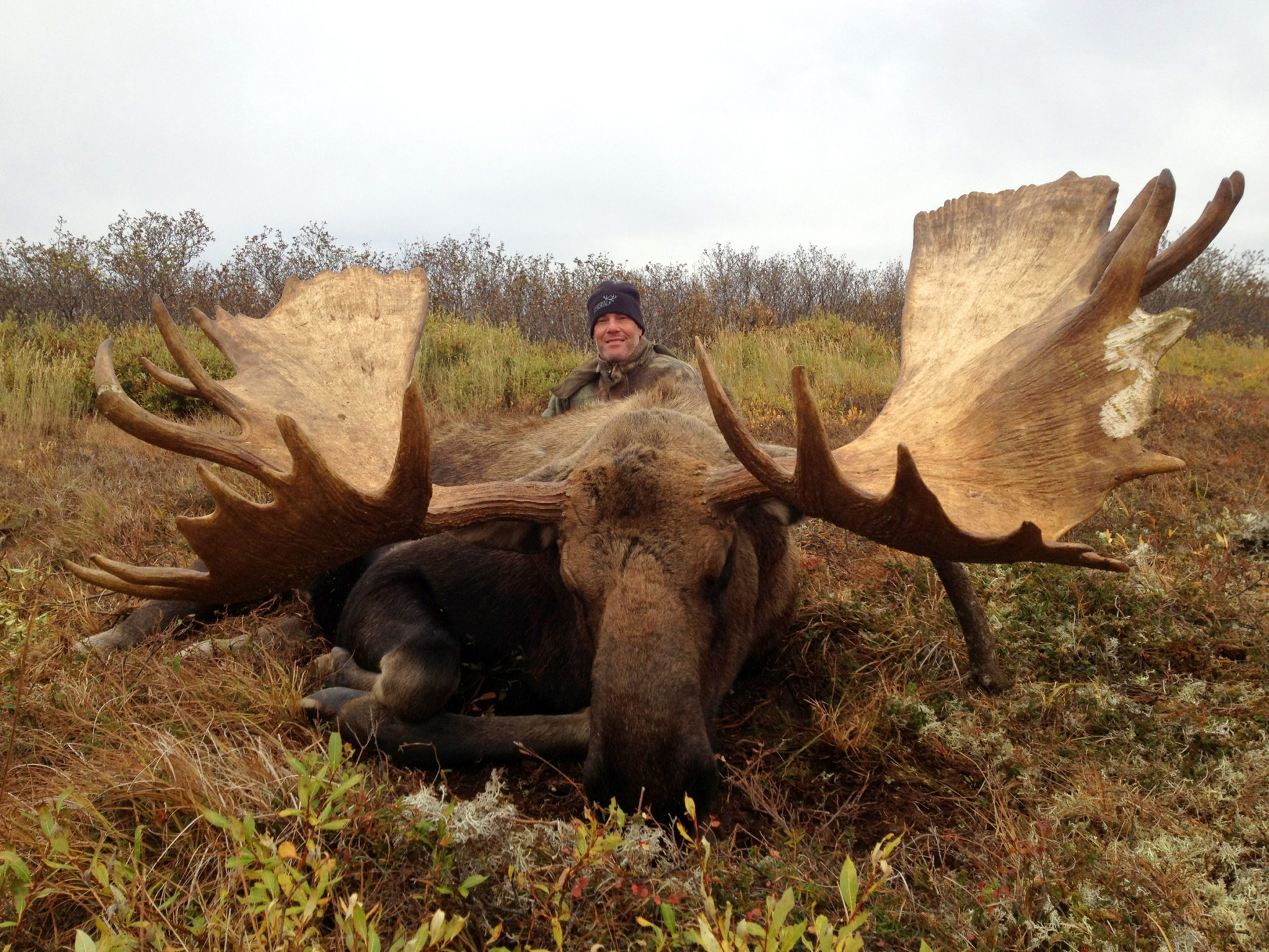 moose hunting trips